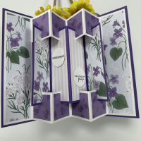 Wenskaart Concertina tutorial Nederlands in Inches